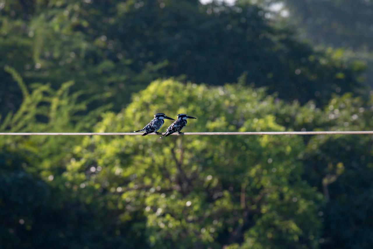 Dera Baghdarrah Nature Retreat อุเดเปอร์ ภายนอก รูปภาพ