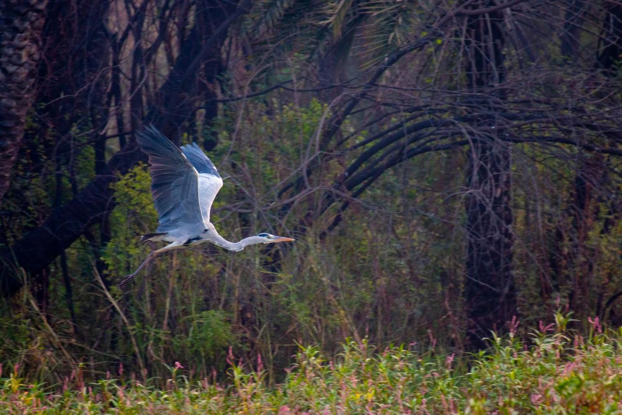 Dera Baghdarrah Nature Retreat อุเดเปอร์ ภายนอก รูปภาพ