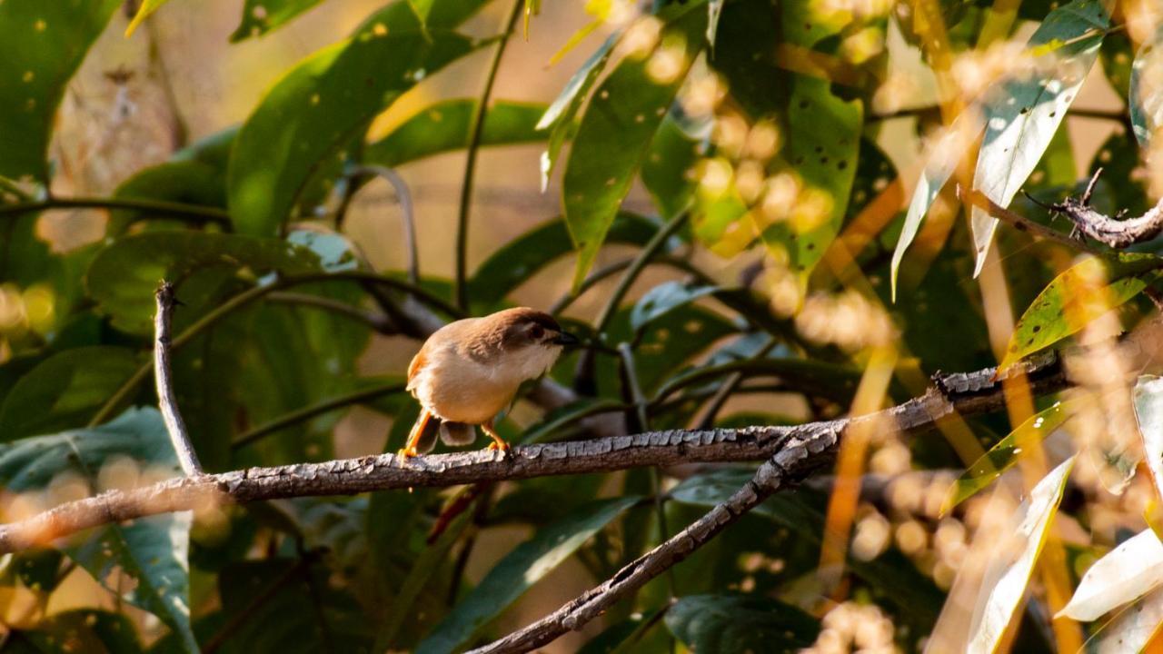Dera Baghdarrah Nature Retreat อุเดเปอร์ ภายนอก รูปภาพ