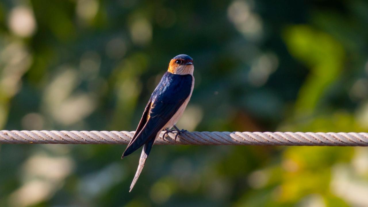 Dera Baghdarrah Nature Retreat อุเดเปอร์ ภายนอก รูปภาพ