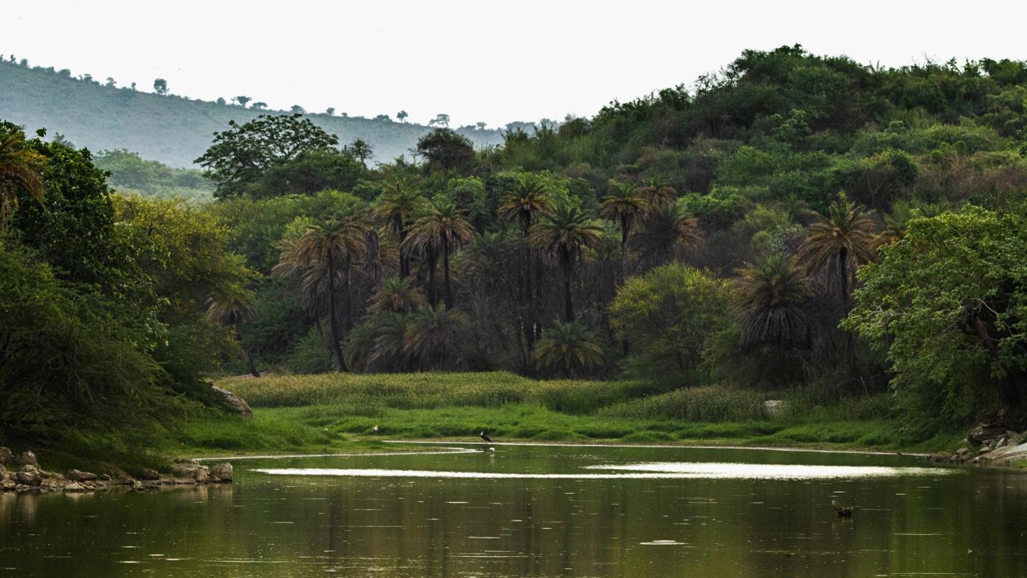 Dera Baghdarrah Nature Retreat อุเดเปอร์ ภายนอก รูปภาพ